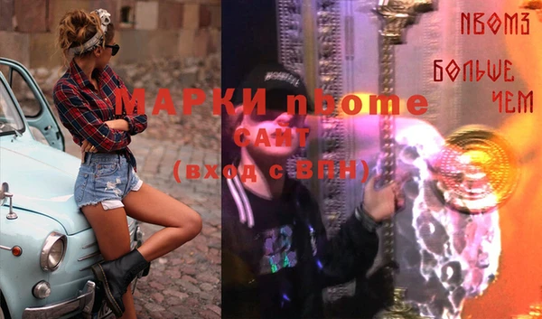 шишки Абаза