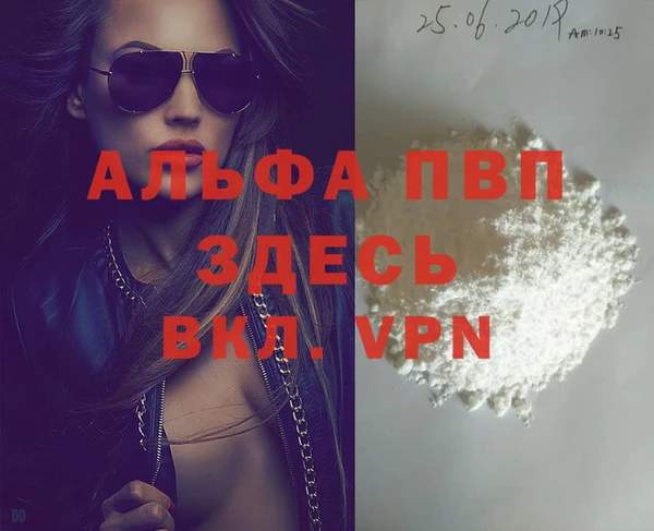 стафф Надым