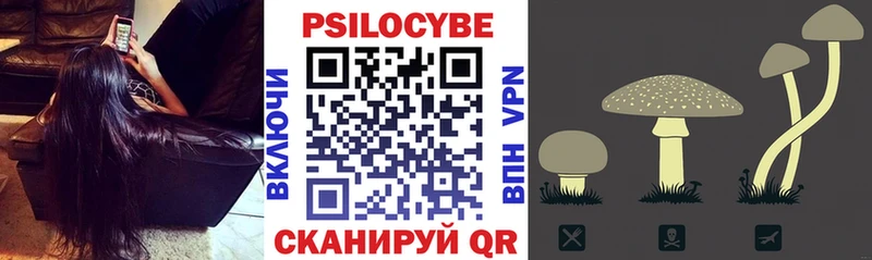 Псилоцибиновые грибы прущие грибы  blacksprut рабочий сайт  Цимлянск  как найти наркотики 